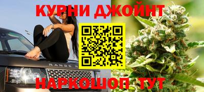 амф Новокубанск
