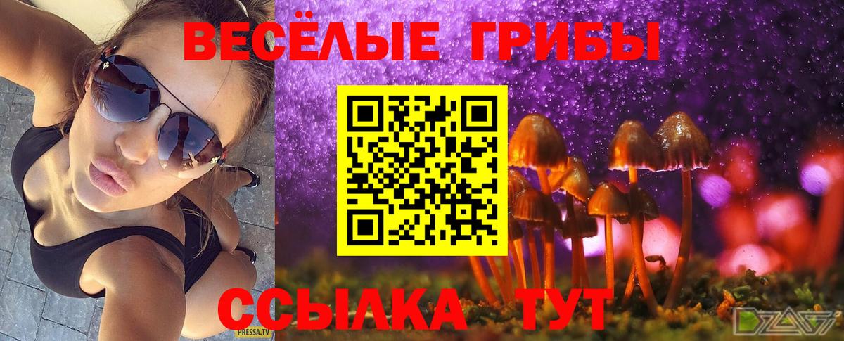 Сердобск  Галлюциногенные грибы Psilocybine cubensis  Вход с VPN 